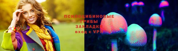 гашик Богородицк