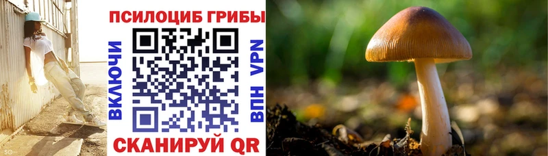 kraken зеркало  Любань  Галлюциногенные грибы ЛСД  что такое  